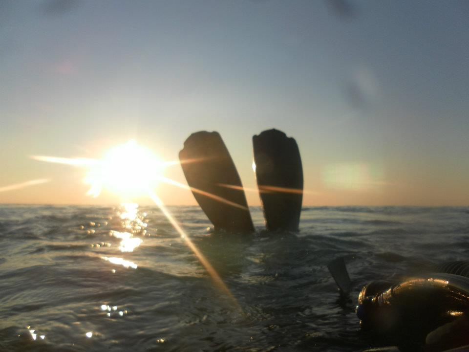 Sunset Diving